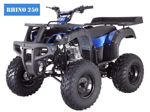 Tao Tao Rhino 250 Blue